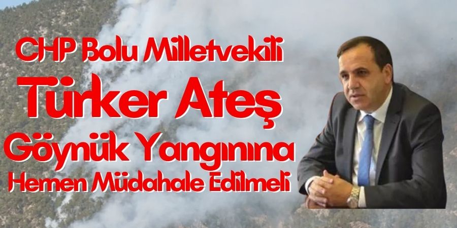 Türker Ateş'ten Göynük'teki Yangına İlişkin Acil Çağrı