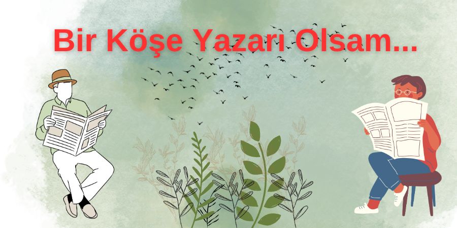 Ne Yazardım...