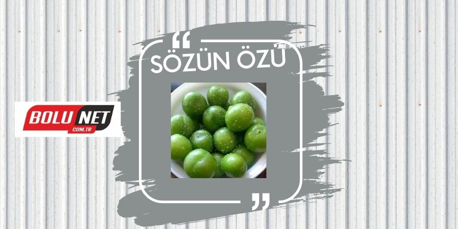 SÖZÜN ÖZÜ...