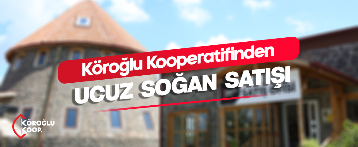 UCUZ SOĞAN SATIŞI...