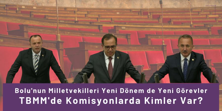 Bolu'nun Milletvekilleri Yeni Dönem de Yeni Görevler: TBMM'de Komisyonlarda Kimler Var?