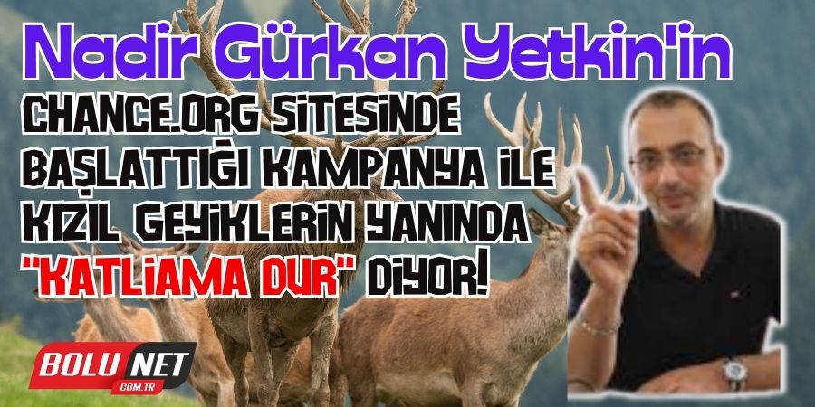 Nadir Gürkan Yetkin'in CHANCE.ORG Sitesinde Başlattığı Kızıl Geyikler İçin Kampanyaya BoluNet Destek Veriyor!