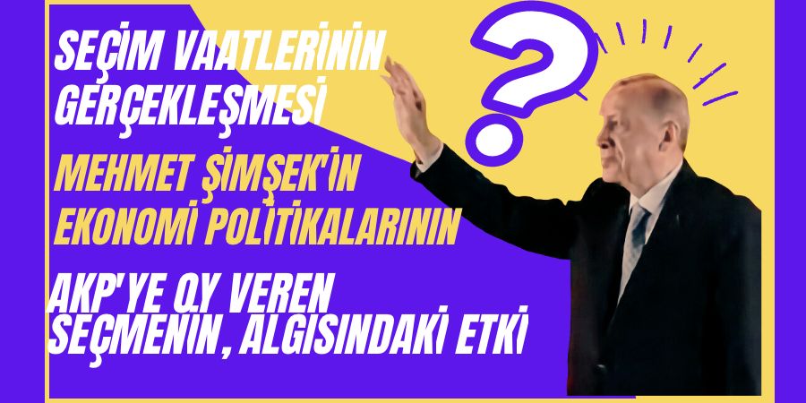 Seçim Vaatlerinin Gerçekleşmesi: Mehmet Şimşek'in Ekonomi Politikalarının,  AKP'ye Oy Veren Seçmenin, Algısındaki Etkisi