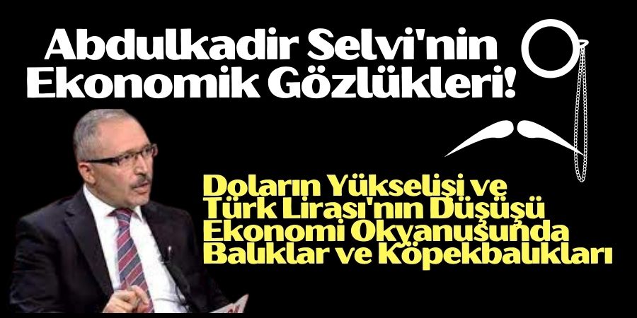 Abdulkadir Selvi'nin Ekonomik Gözlükleri!