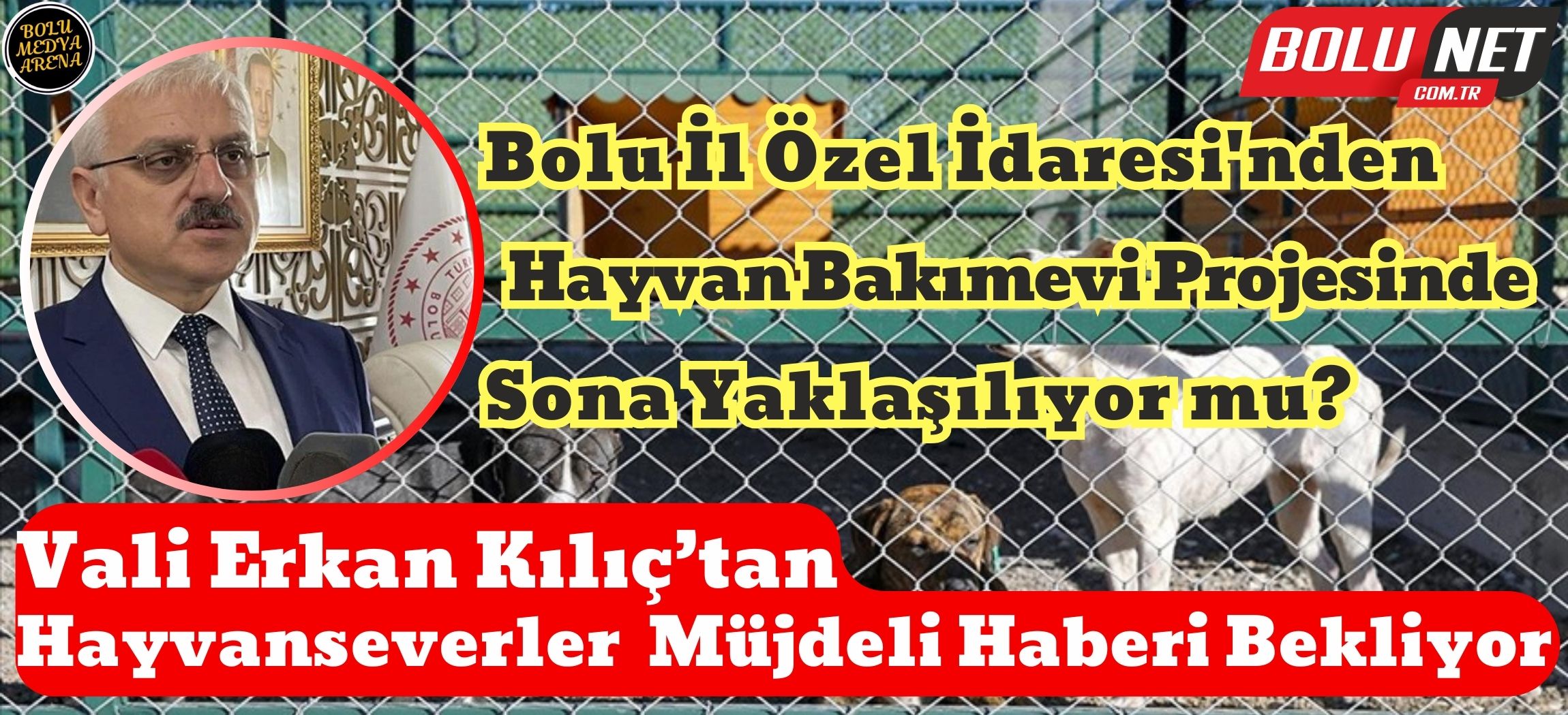 Bolu Hayvan Hakları Mücadelesinde Yeni Dönem: Bakımevi Ne Durumda?...BoluNet