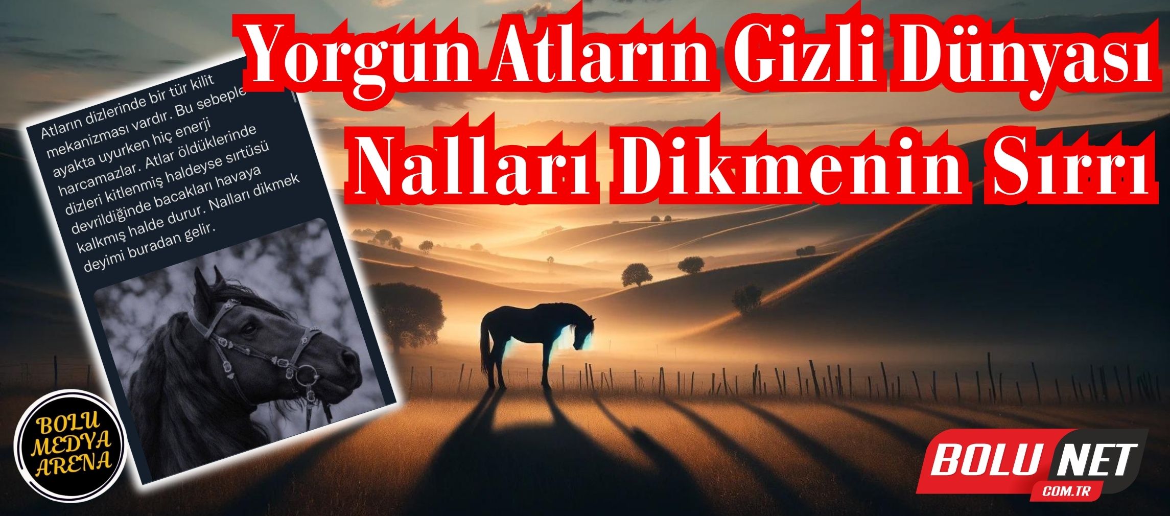 Bitkinliğin Ardından Huzura: Nalları Dikerek Uyumak...BoluNet