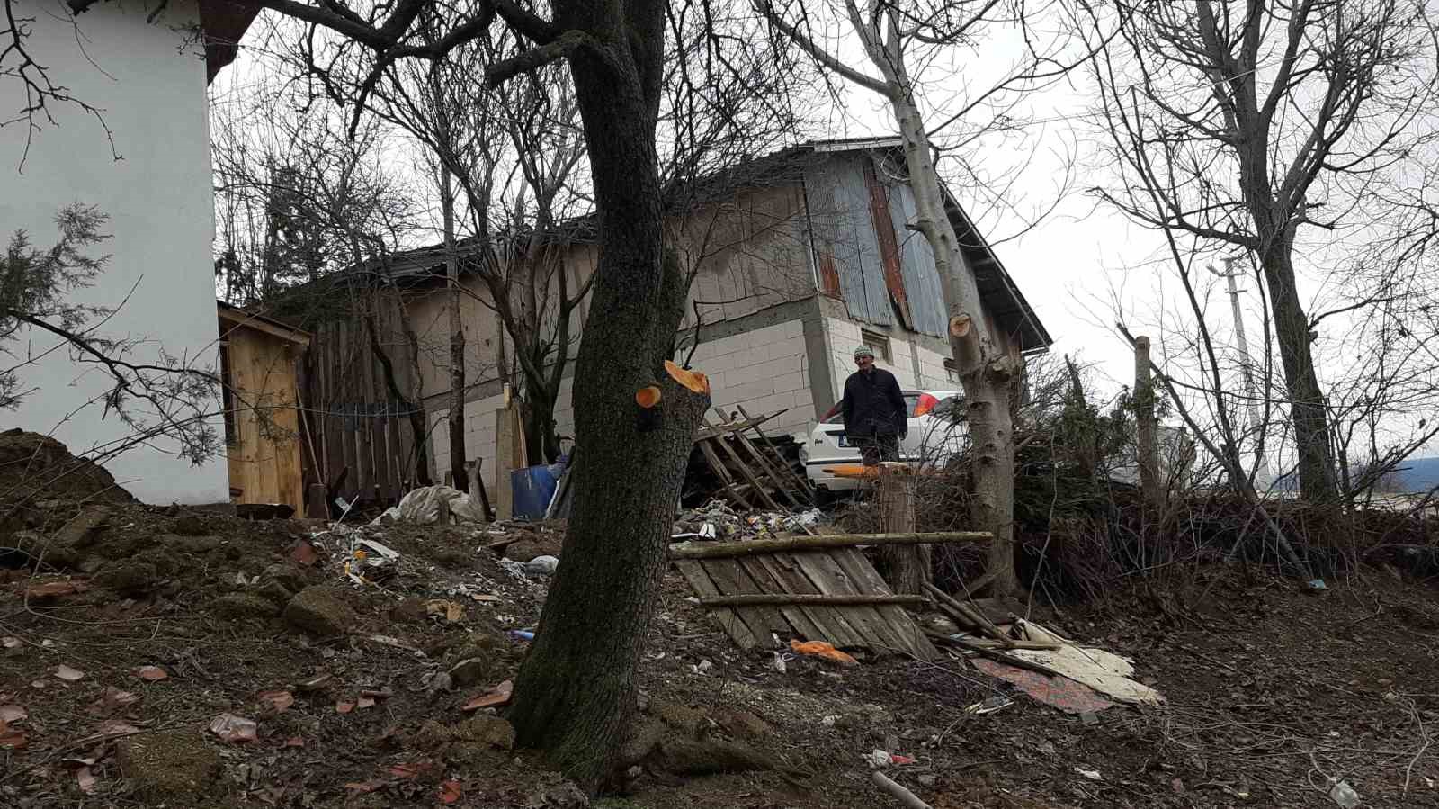 Ağaç budarken kafasına dal düştü, yaralandı...BoluNet