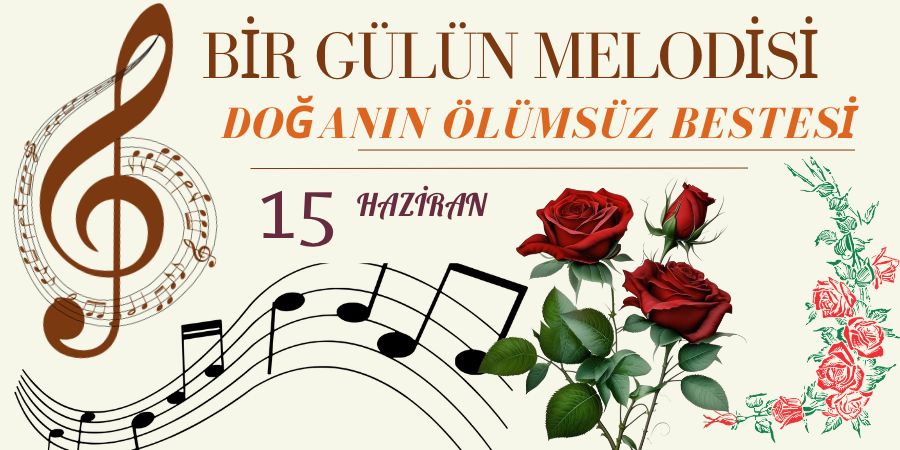 Bir Gülün Melodisi: Doğanın Ölümsüz Bestesi