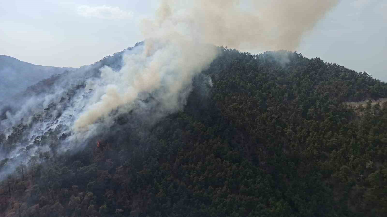 Bolu’da aynı ilçede 2 farklı orman yangını 