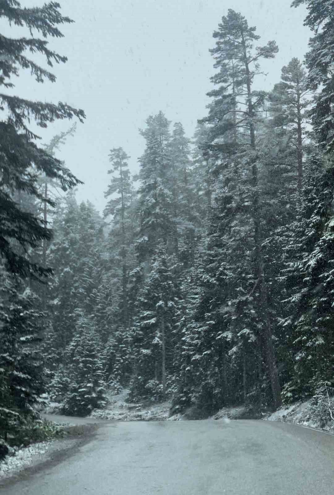 Bolu’da mayıs ayının ortasında kar yağdı...BoluNet