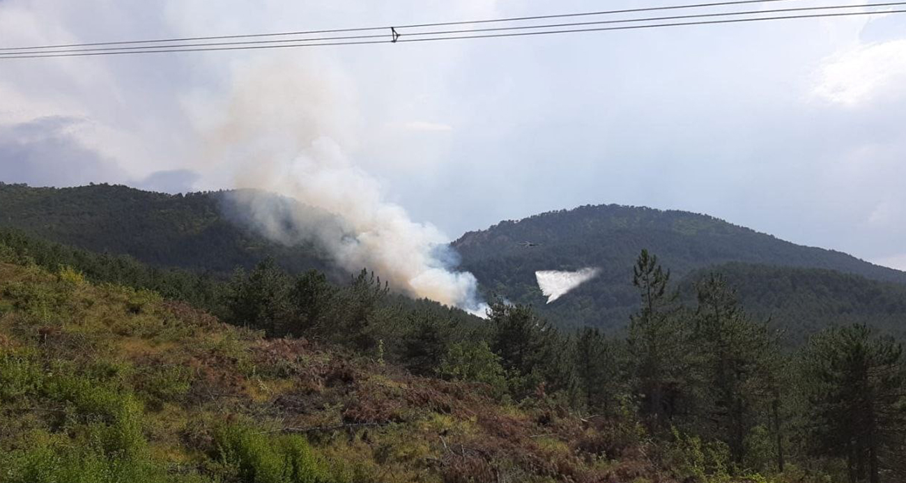 Bolu’da orman yangını başladı 