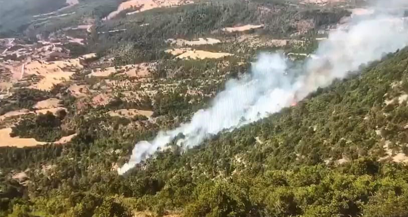 Bolu’da orman yangını: Helikopter ve arazözlerle müdahale ediliyor.