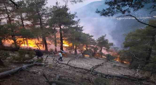 Bolu’da ormana düşen yıldırım yangın çıkardı 