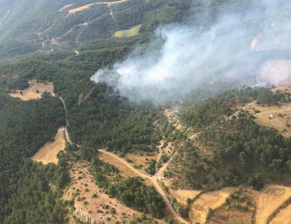 Bolu’daki 2 orman yangınından biri kontrol altına alındı 