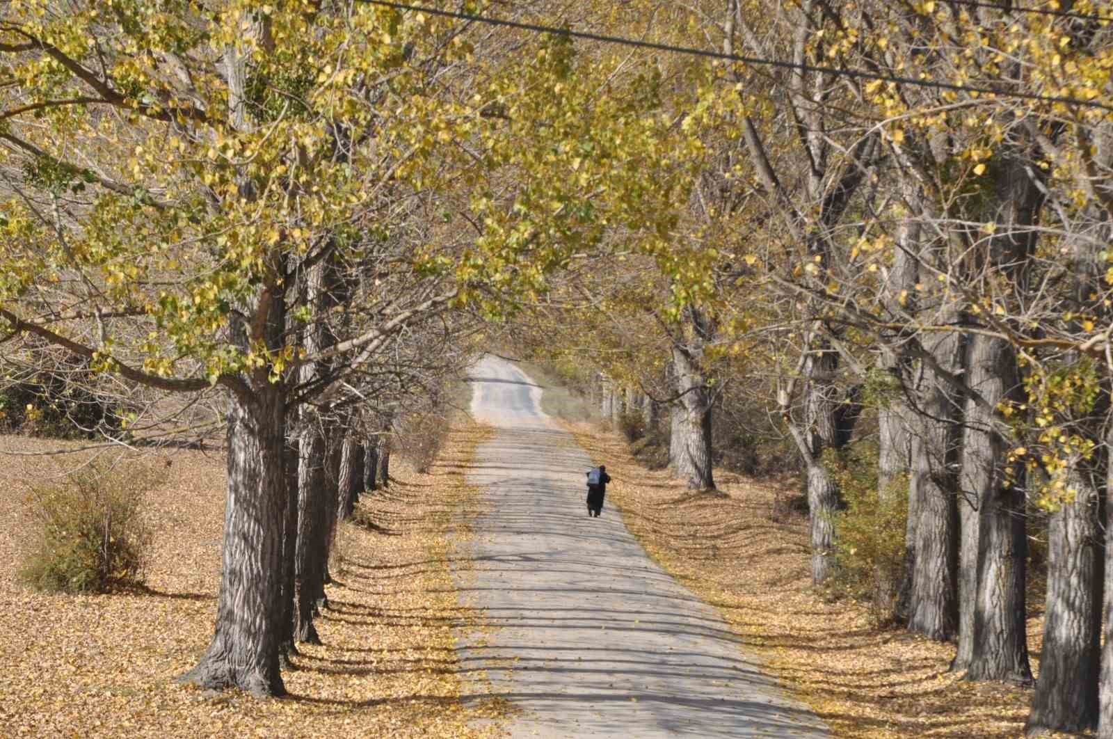 Bolu’dan sonbahar manzaraları 