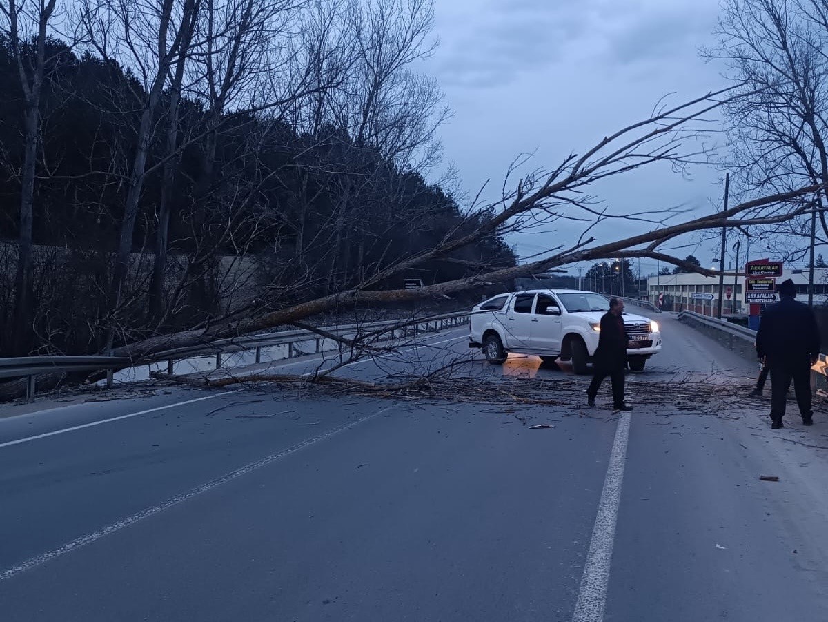 Bolu-Mudurnu yolunda devrilen ağaç yolu trafiğe kapattı...BoluNet