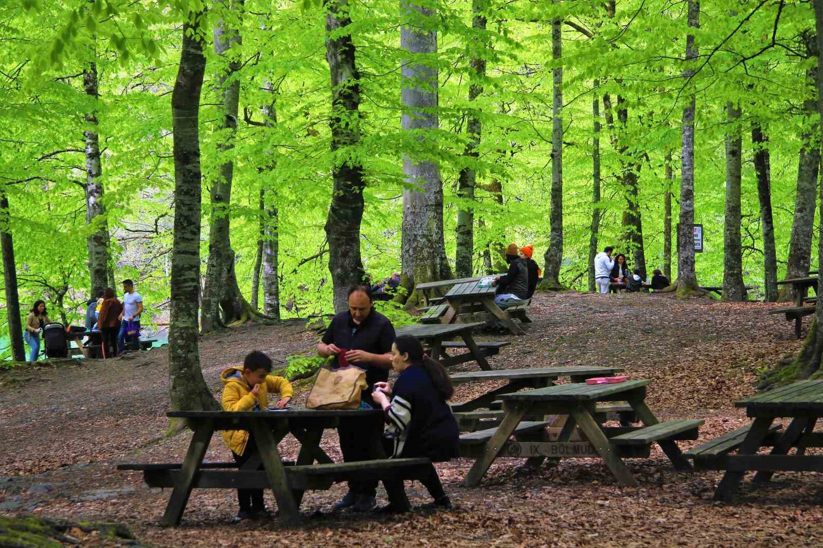 Bolu’nun doğa harikasında insan faaliyetleri doğal dengeyi bozuyor...BoluNet