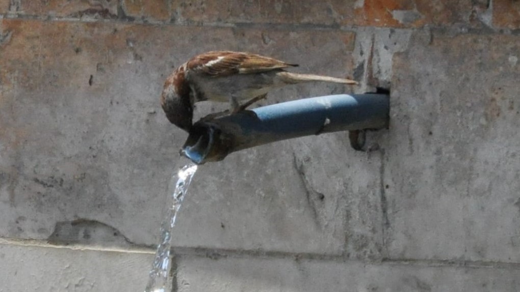 Bolu son 94 yılın en sıcak gününü yaşadı 