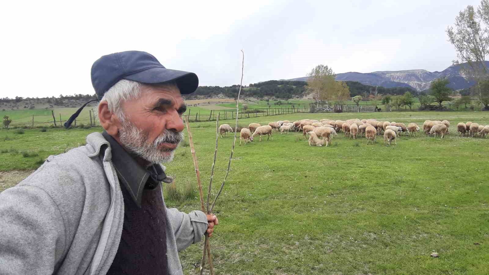 Havaların ısınmasıyla küçükbaş hayvanlar meralara çıkmaya başladı ...BoluNet