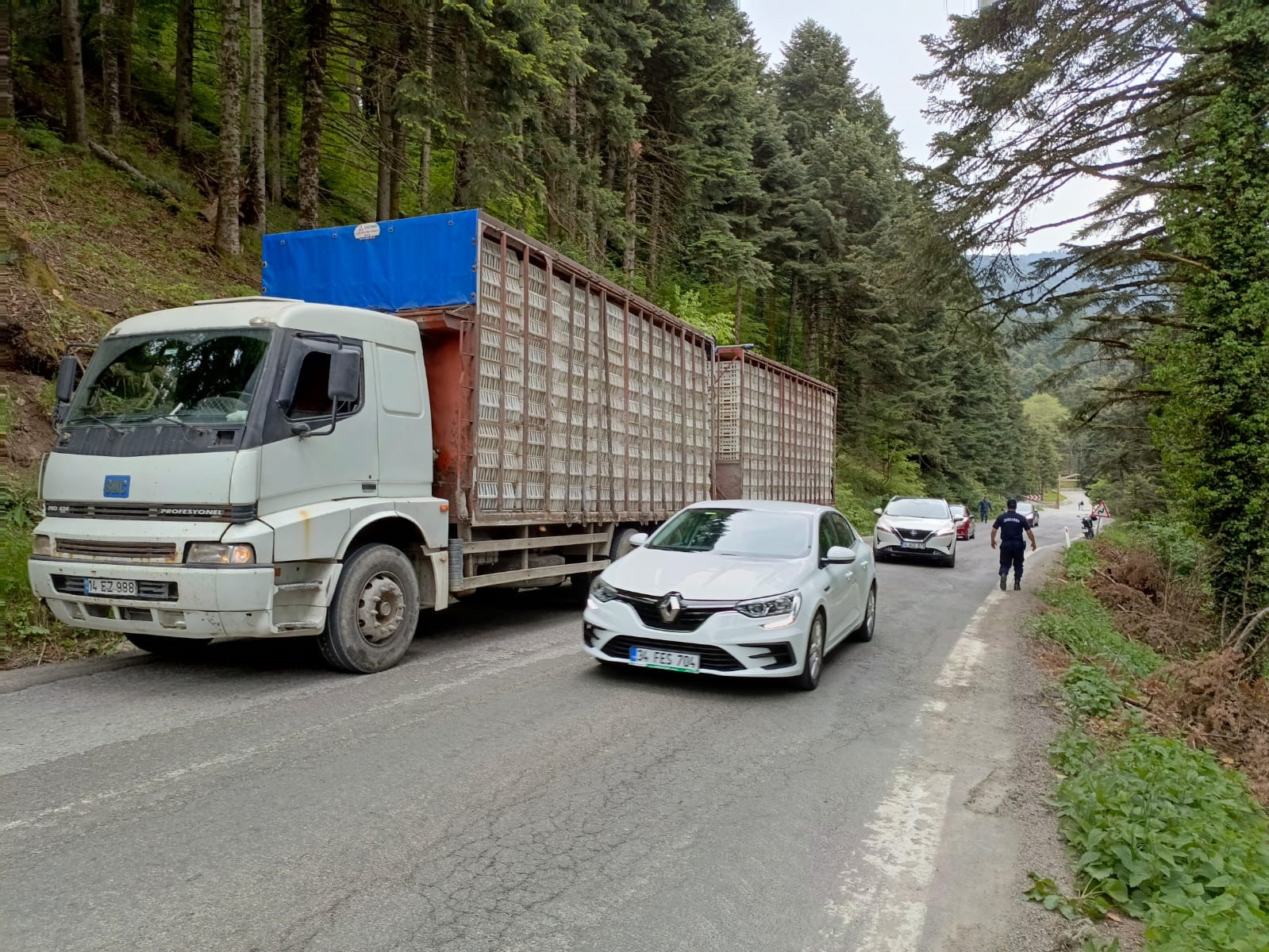 Kontrolden çıkan otomobil uçuruma yuvarlandı: 2 yaralı ...BoluNet