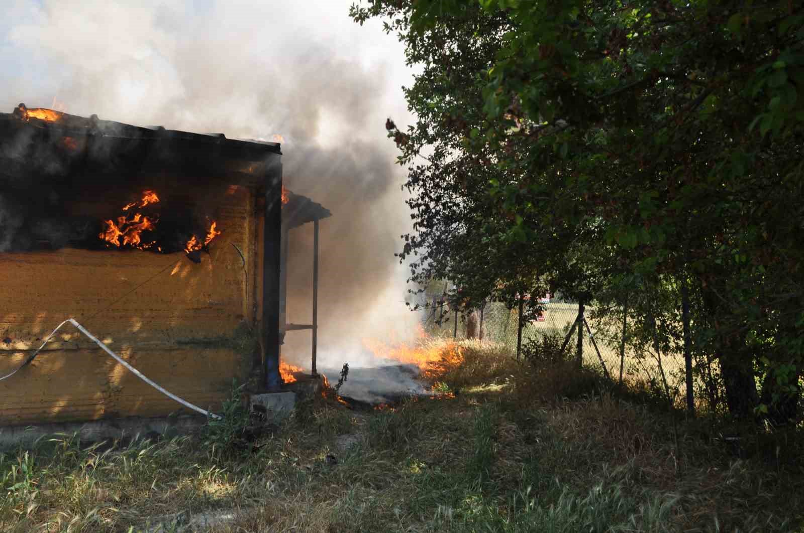 Kümes alev alev yandı: 20 bin adet canlı civciv telef oldu ...BoluNet