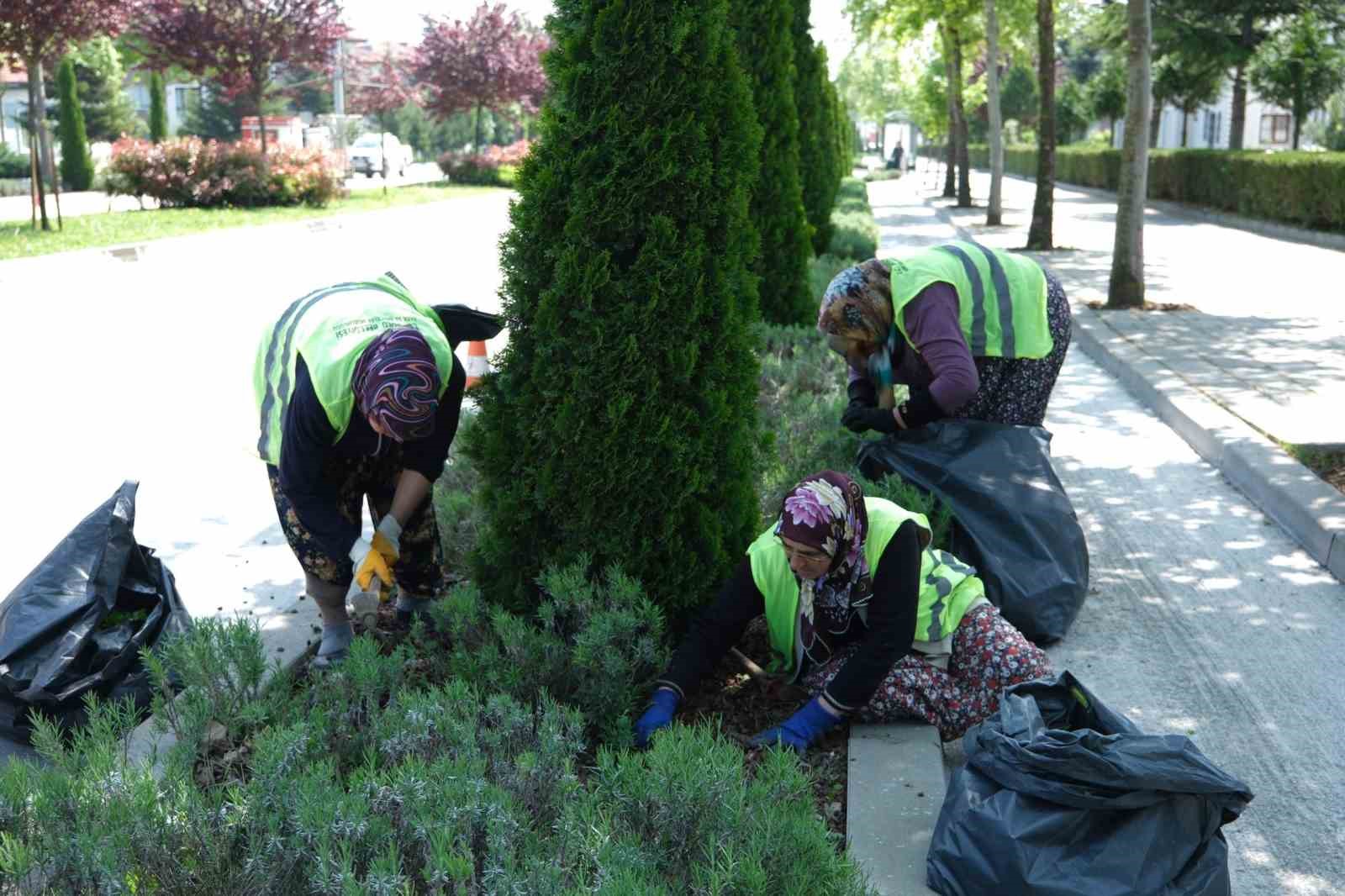 Park ve bahçelere kadın eli değdi ...BoluNet