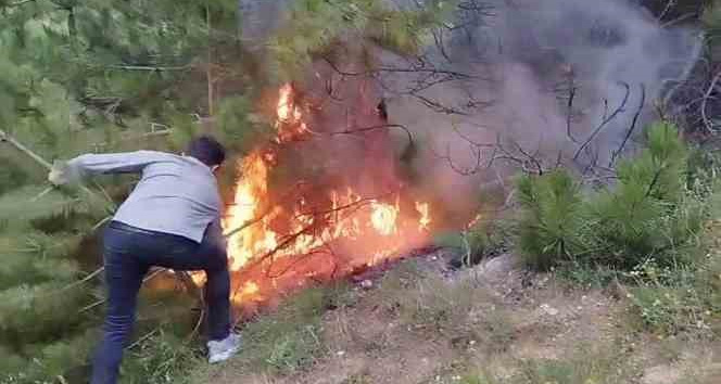 Son 10 yılda çeşitli sebeplerden 276 orman yangını meydana geldi