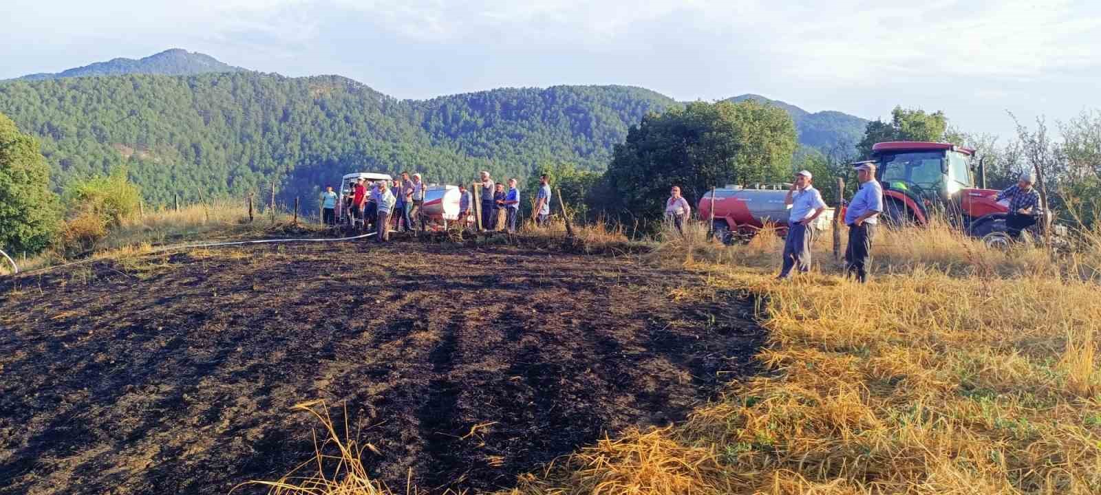 Tarla yangını ormana sıçramadan köylüler tarafından söndürüldü 