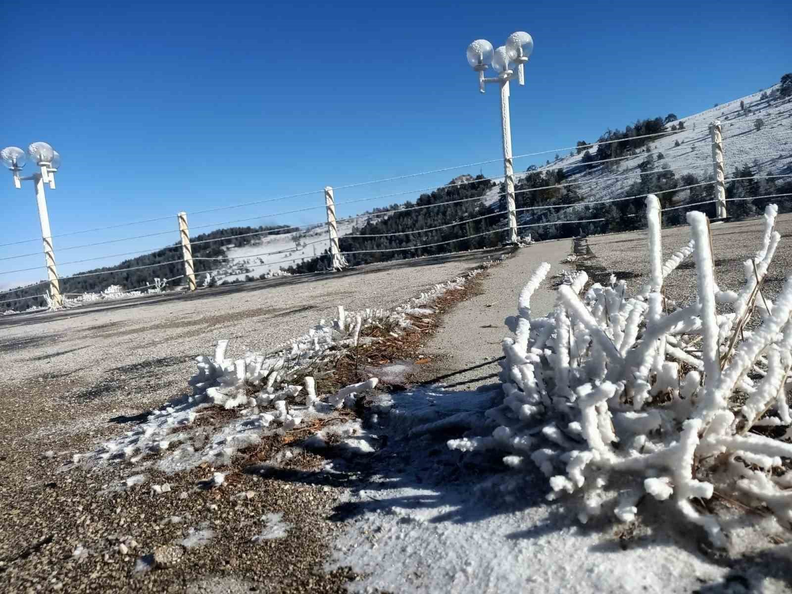 Valilik uyardı: zirai don 3 gün sürecek...BoluNet