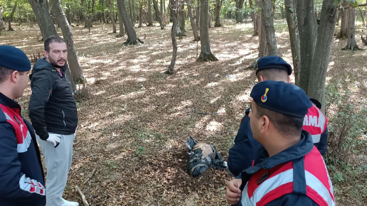 Vatandaş çocuk cesedi sandı, bakın ne çıktı İhlas Haber Ajansı