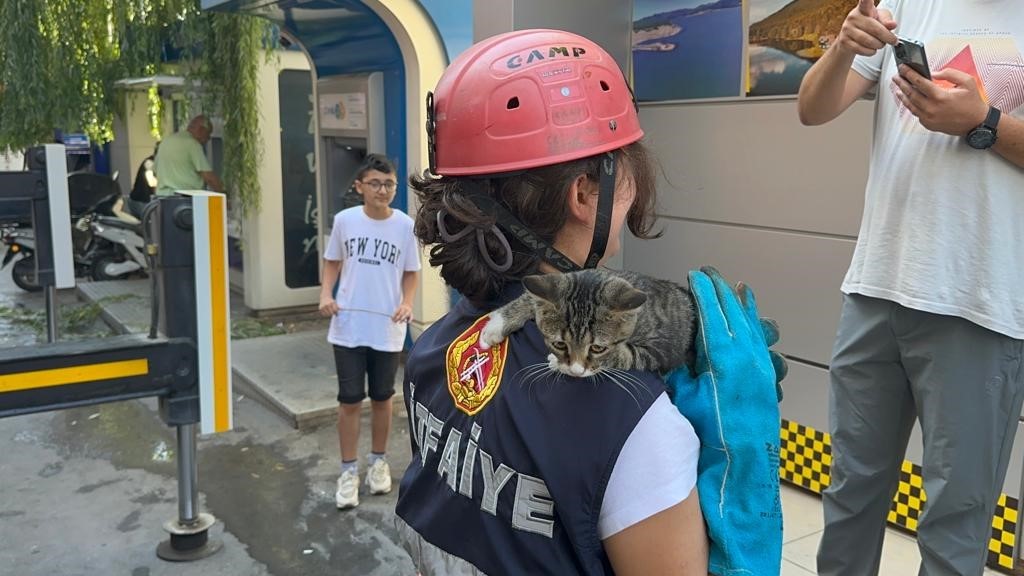 Yaramaz yavru kedi, 4 metre yüksekte mahsur kaldı 