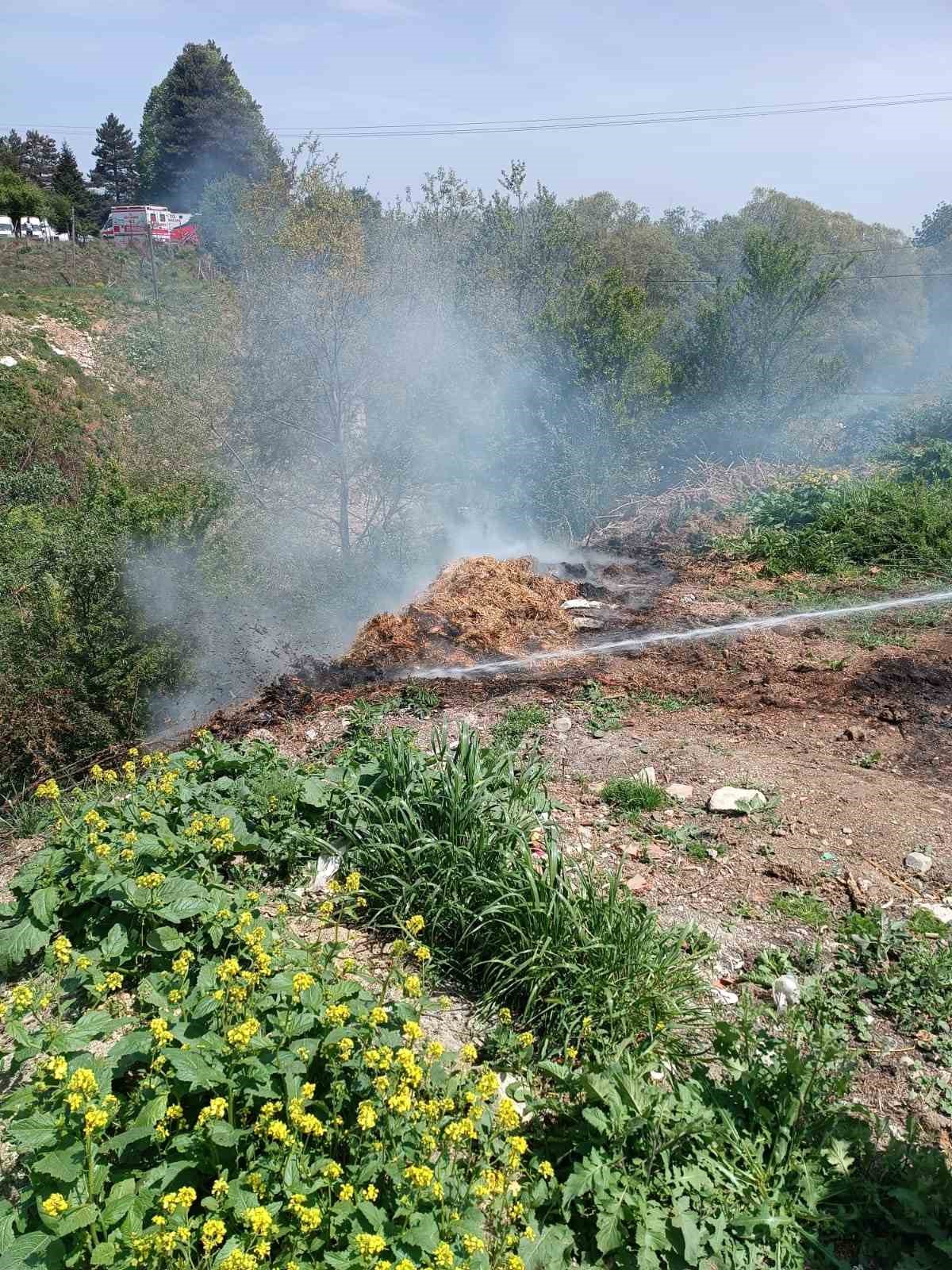 Yol kenarındaki çürümüş samanlar alev aldı ...BoluNet